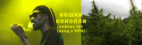 apvp Ельня