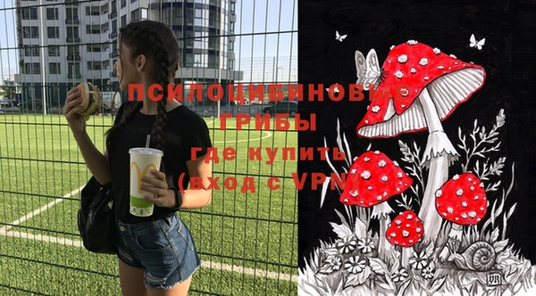 бошки Дмитров