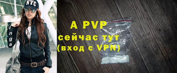 apvp Ельня