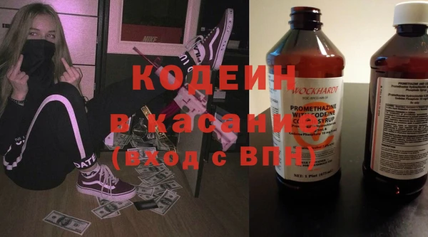 шишки Дмитриев