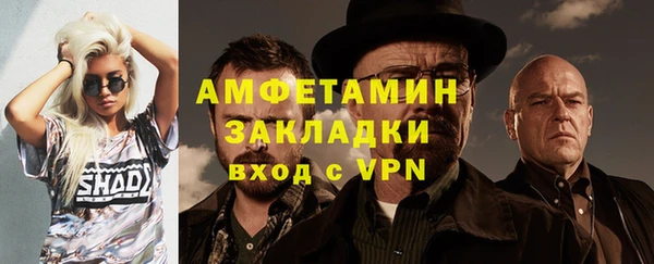 apvp Ельня